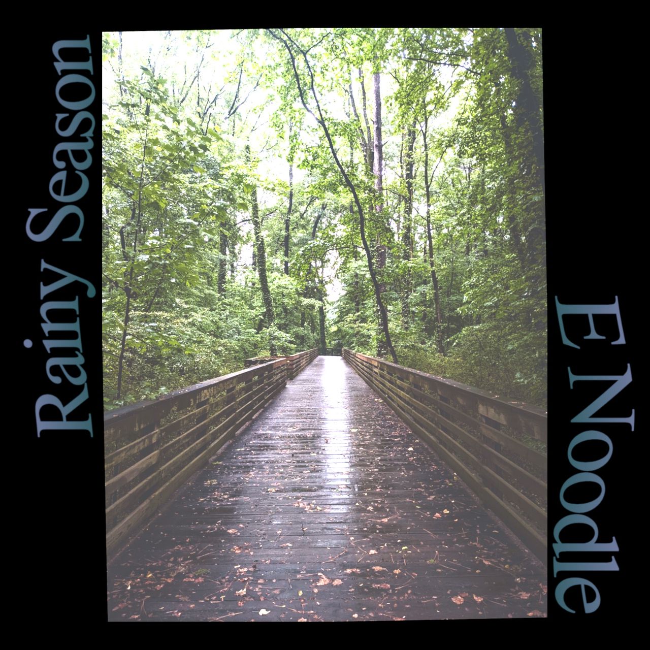 rainy season release cover. wet, wooden, winter boardwalk bridge.